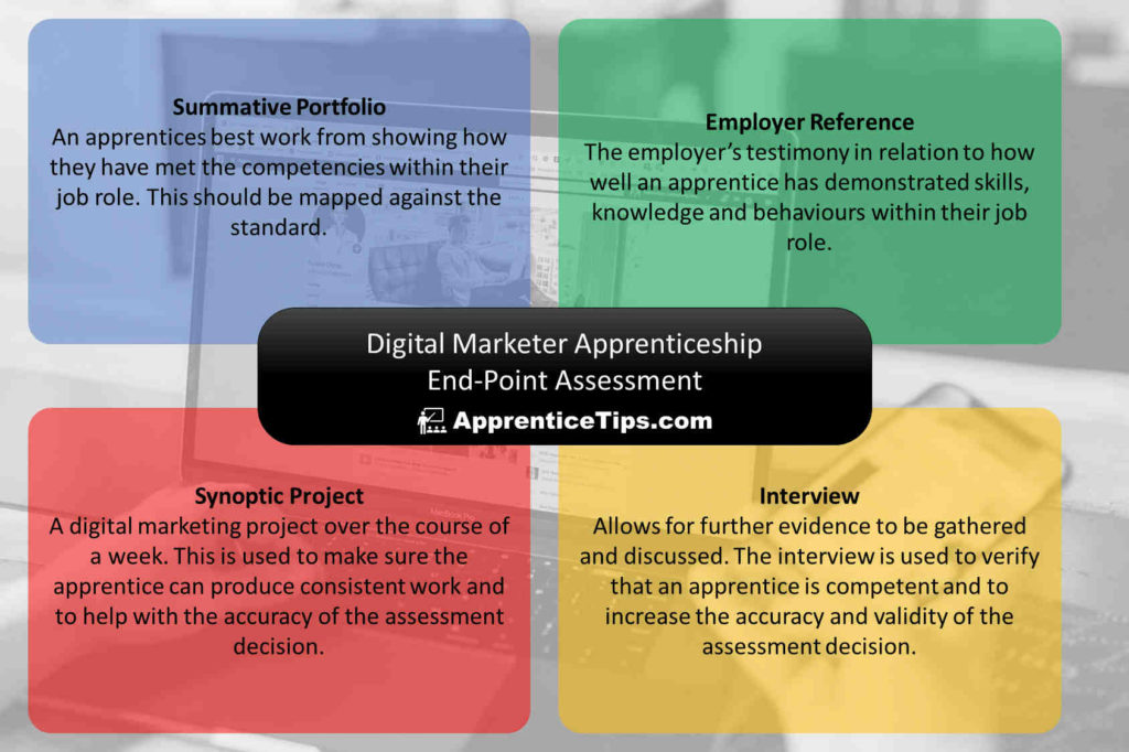 digital marketer apprenticeship overview of end point assessment