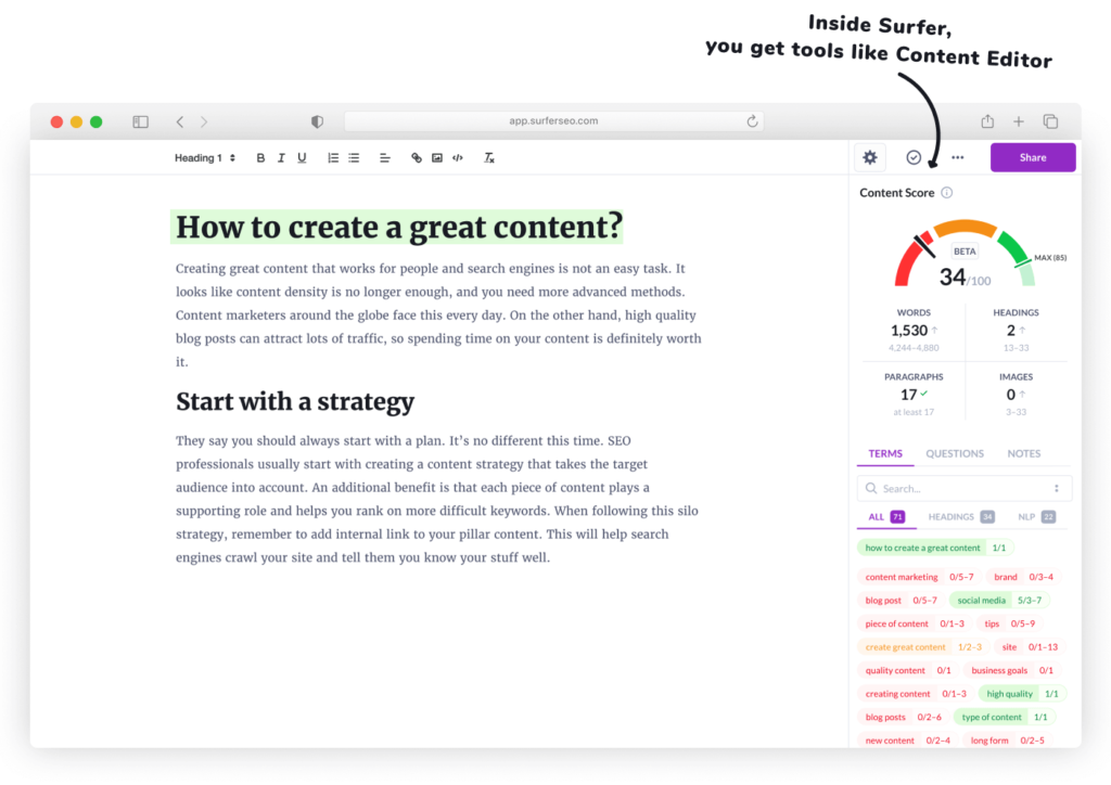 Surfer Content Editor