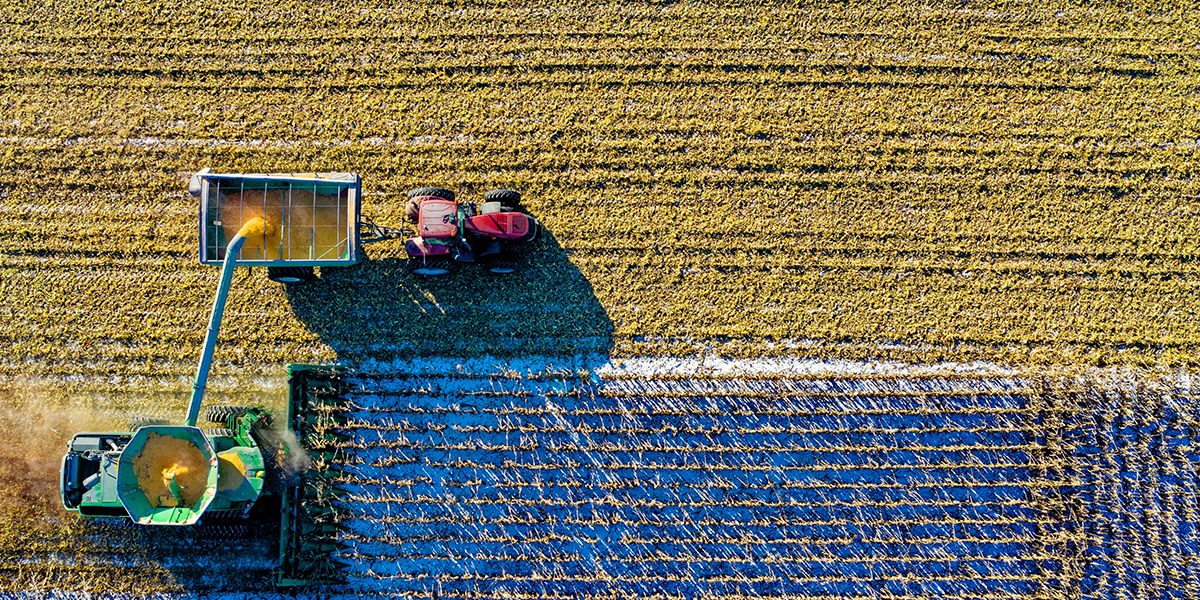Crop Technician Apprenticeship - Agricultural.