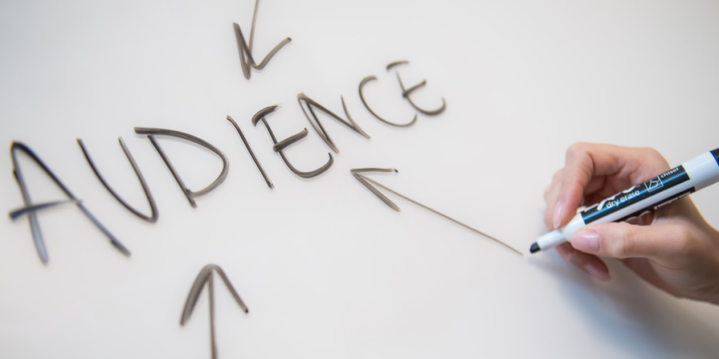 email marketing audience