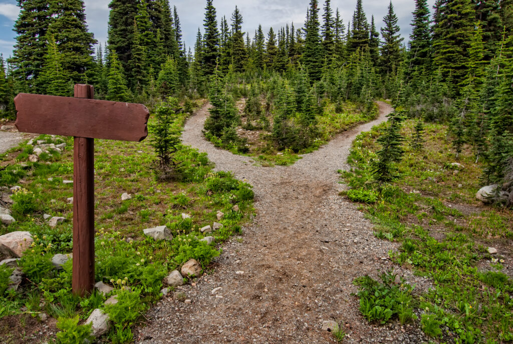 Path to show that you can take many career paths to reach your dream job/destination. 