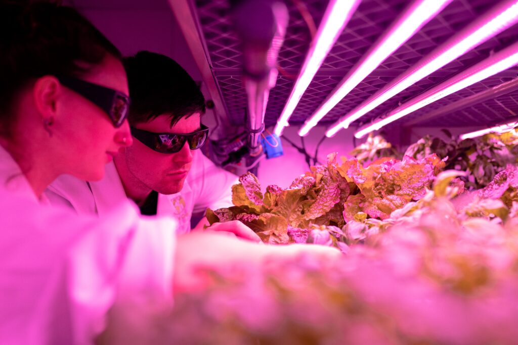 Agriculture or Horticulture apprentices learn on the job. image shows scientists with plants under UV lighting