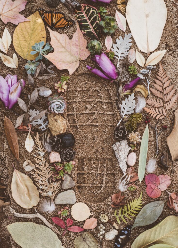 A footprint in the mud, surrounded by leaves and flowers.