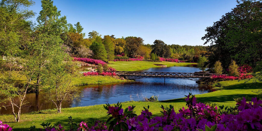 Beautiful garden with pink plants blue sky and a river running through it